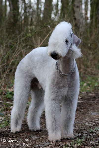 2010-04-02 Airis Blue Volshebny Svet (3).JPG